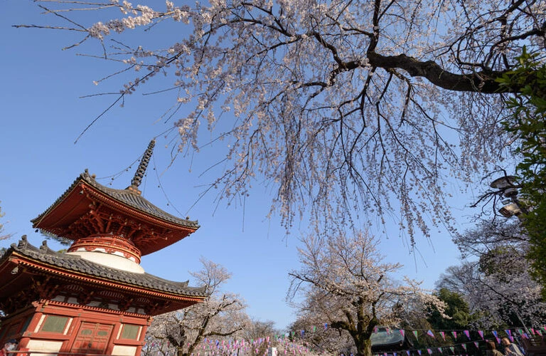 はじめてでも安心！埼玉エリアの大規模修繕の正しい進め方ガイド